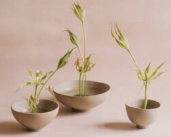 mexican craftsmanship finds contemporary language in everyday ceramics