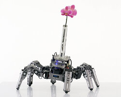 attention-seeking AI robot becomes a mobile vase for a single orchid