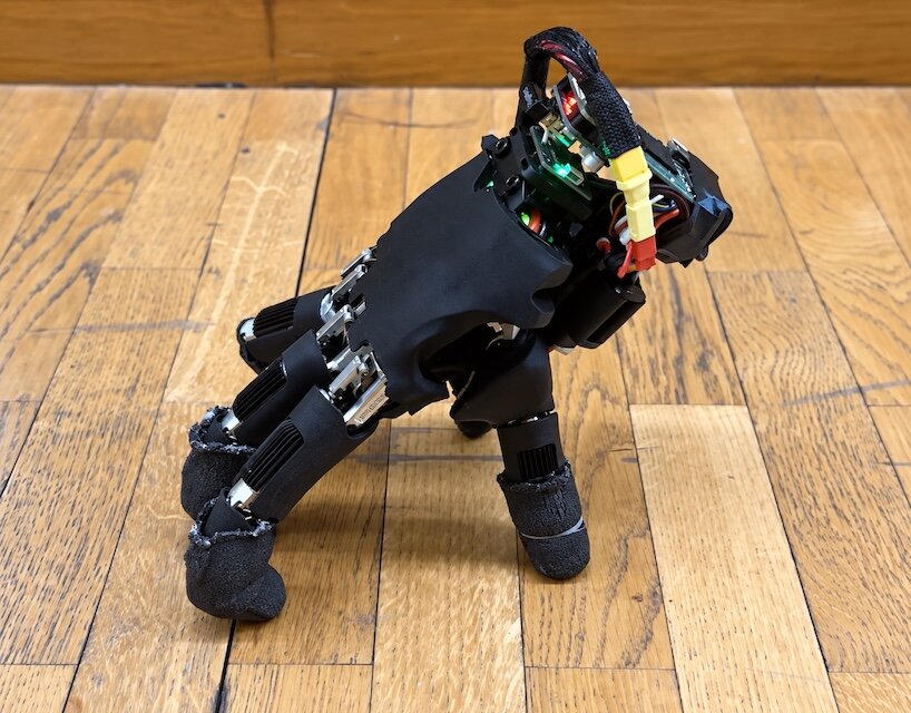 autonomous robotic hand walks on its fingertips like the addams family’s thing - 4