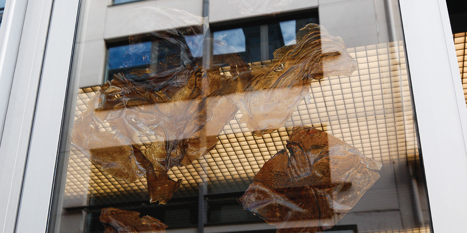 found-associations-paris-design-week-kalve-coffee-cafe-material-ecosystem-bio-laboratory-designboom-1800-2