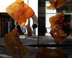 found associations reimagines future café as bio laboratory at paris design week