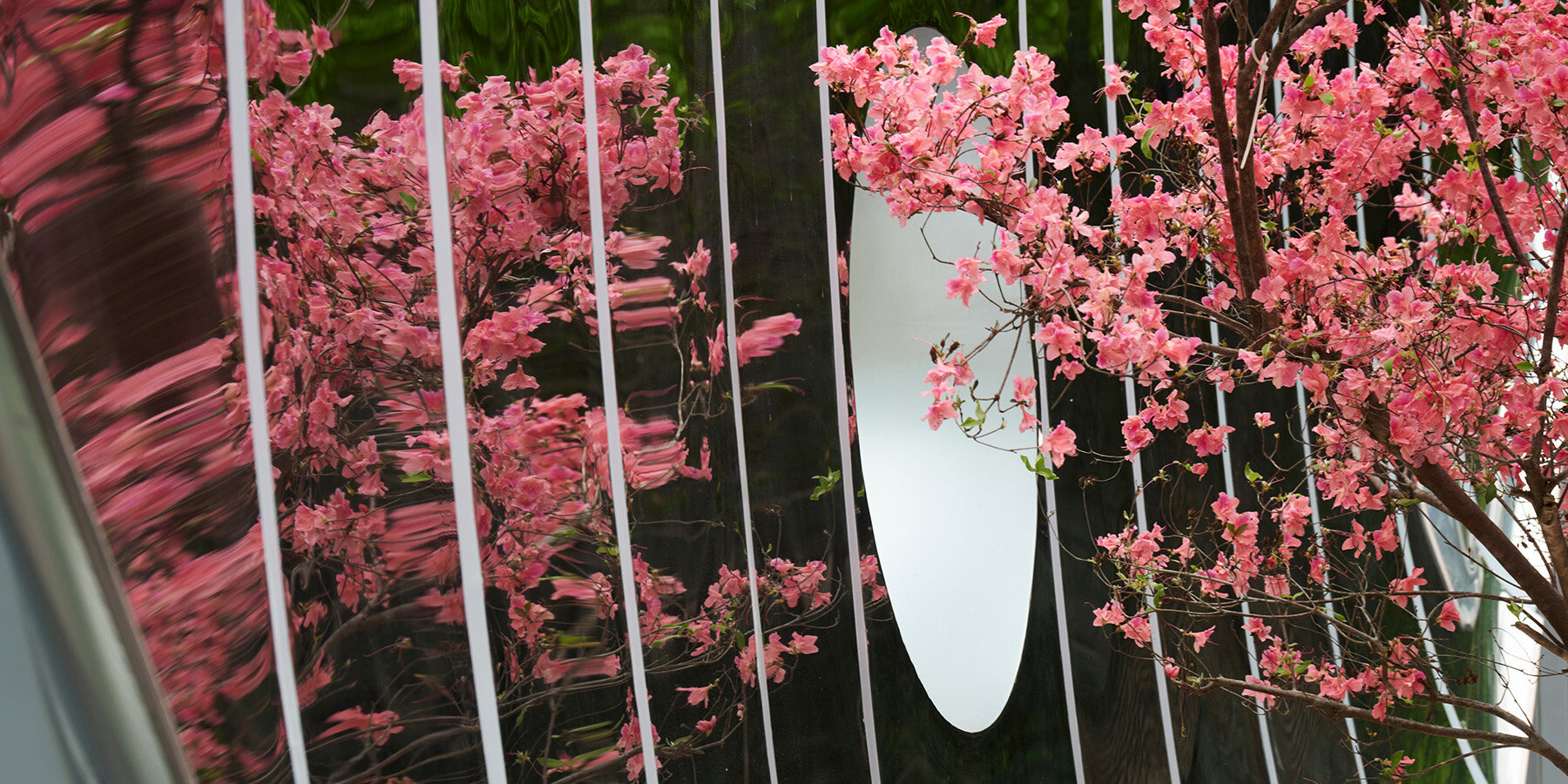 infinite-grove-traveling-pavilion-tree-endless-forest-chang-hao-studio-shanghai-designboom-1800-3