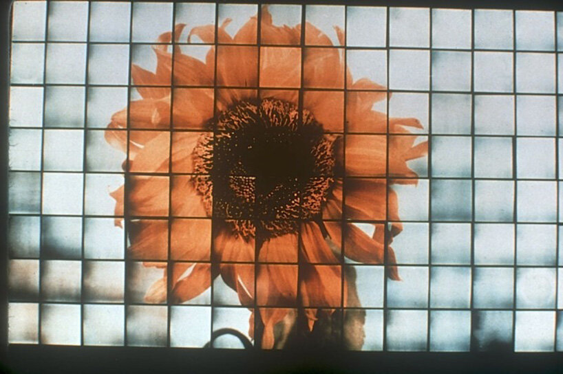 laterna magika brought projected images into live perfomance - 11