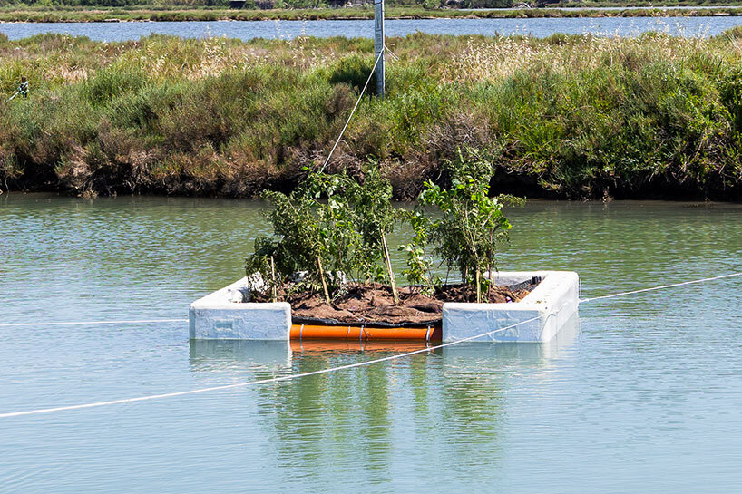 future-proof design relies on a chain of sustainable decisions - 11