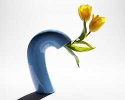 a vase that follows the full arc of a flower’s life, even as petals fall