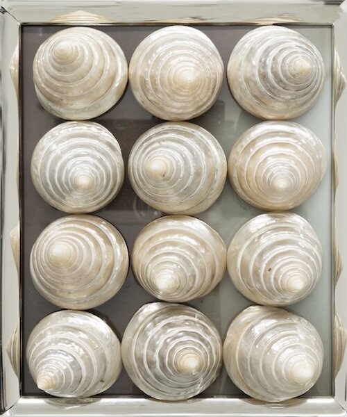 hélène fauquet overlays photographs with salvaged shells in ensemble of rococo-like curiosities