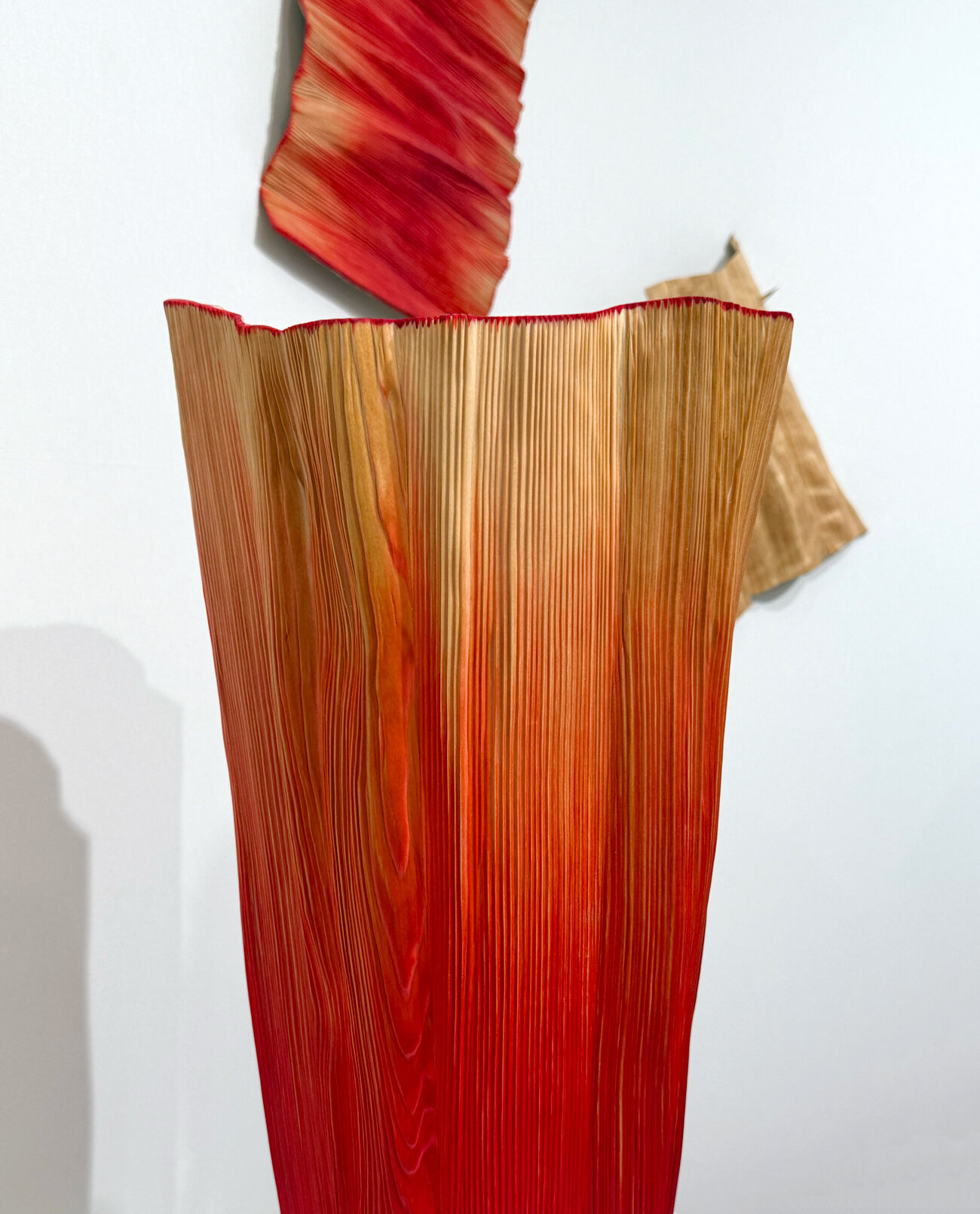 asia NOW: wood pleats vessels by didi NG wing yin - 1