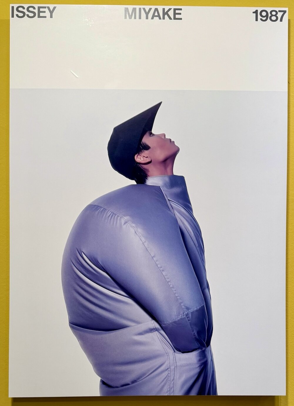 irving penn and issey miyake: a creative dialogue - 4