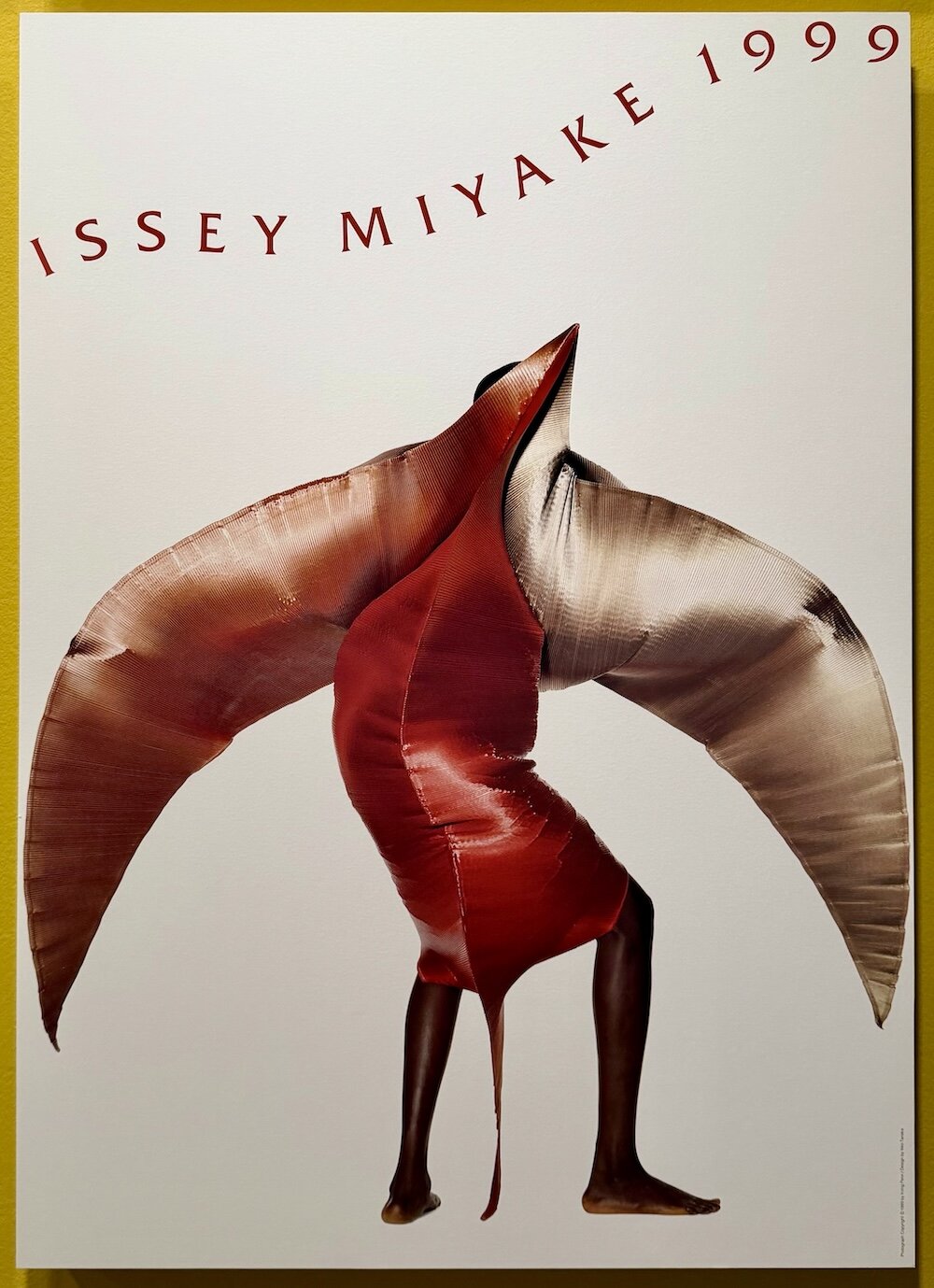 irving penn and issey miyake: a creative dialogue - 3