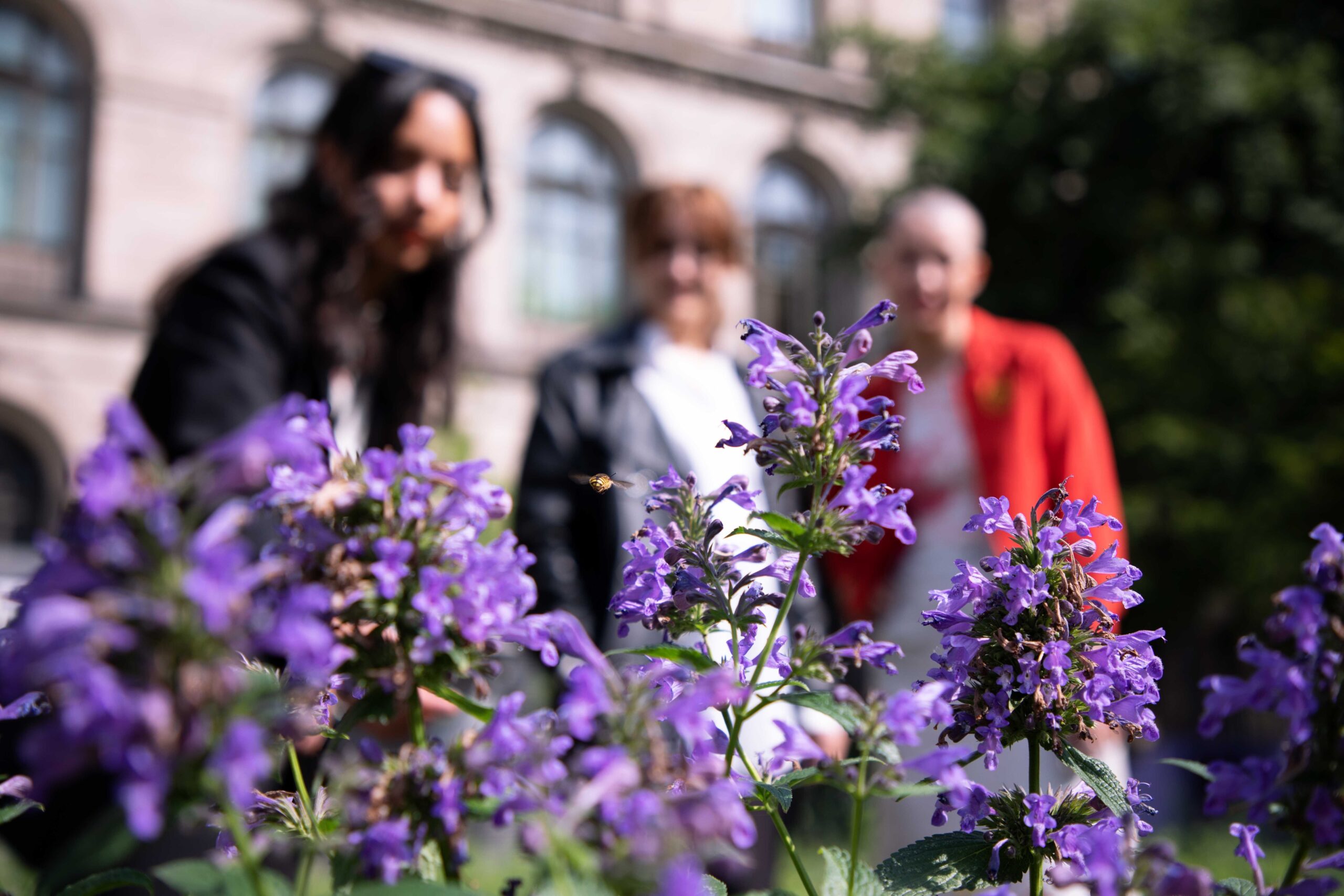 pollinator pathmaker brings buzzing bees back to berlin with foliage-filled artworks - 12