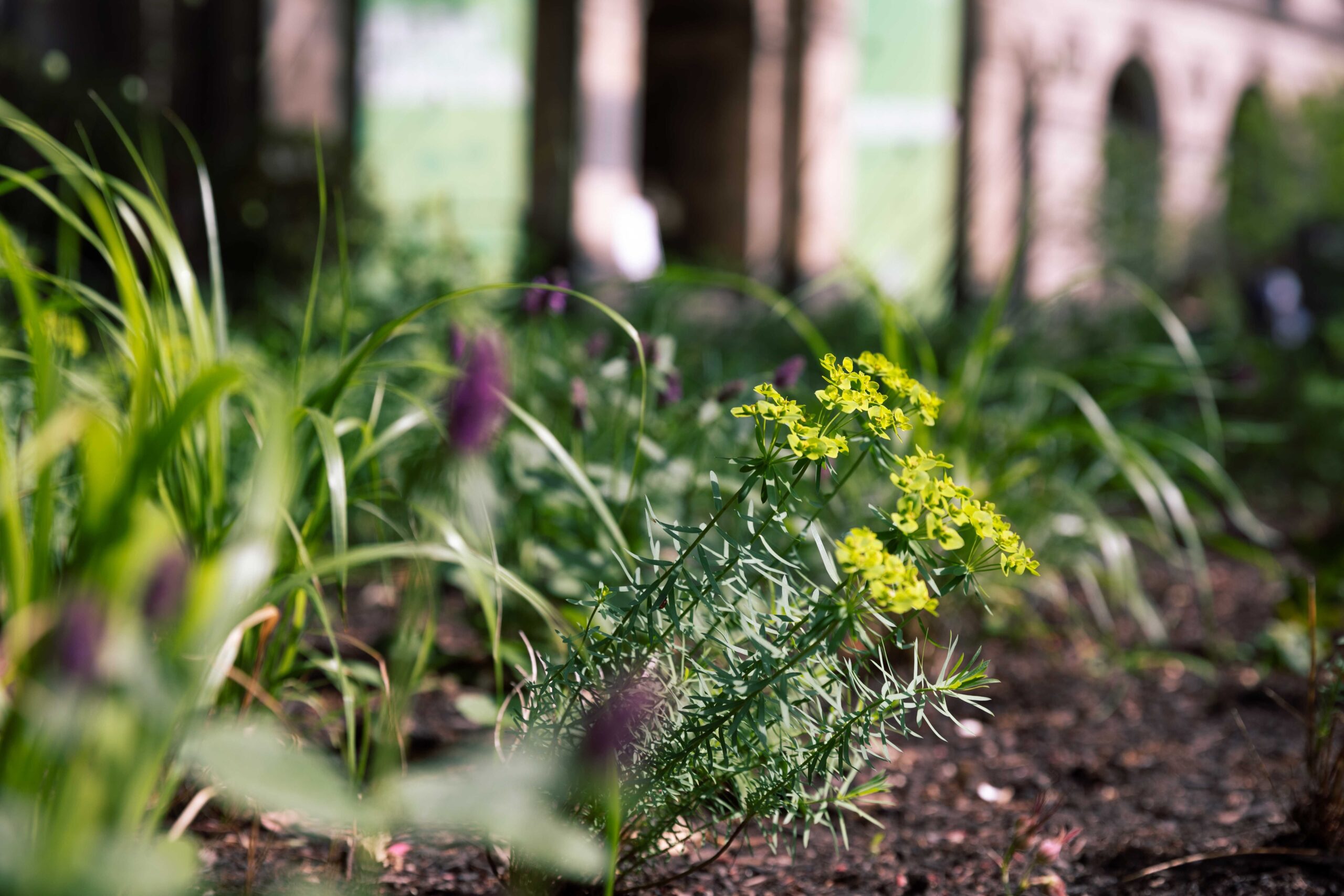 pollinator pathmaker brings buzzing bees back to berlin with foliage-filled artworks - 13