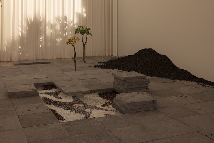 álvaro urbano brings casa cueva’s botanical memories to life at museo jumex in mexico city - 3