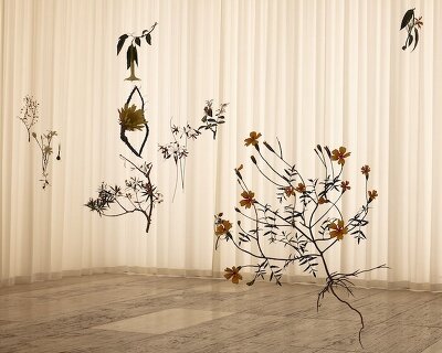 álvaro urbano brings casa cueva’s botanical memories to life at museo jumex in mexico city