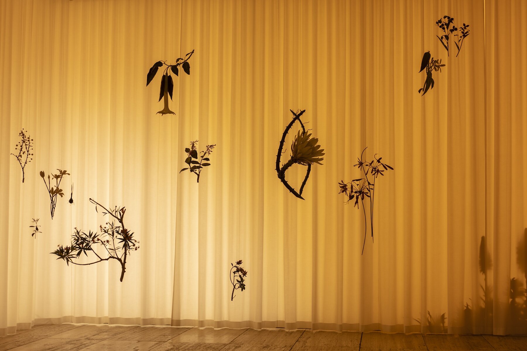 alvaro-urbano-helen-casa-cueva-museo-jumex-designboom-5