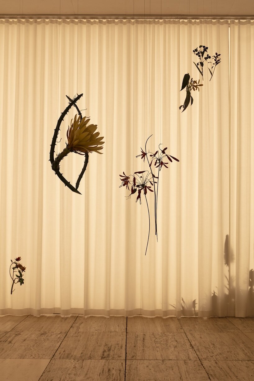 álvaro urbano brings casa cueva’s botanical memories to life at museo jumex in mexico city - 5