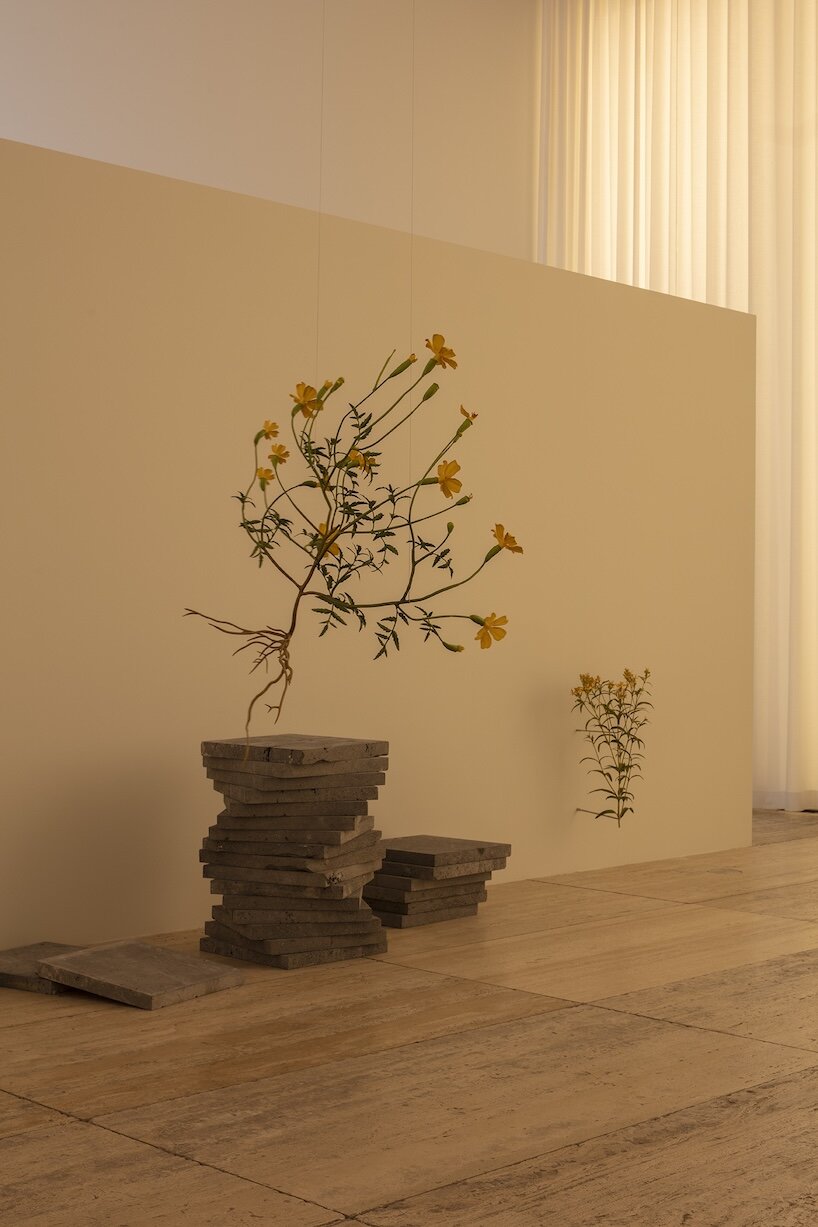 álvaro urbano brings casa cueva’s botanical memories to life at museo jumex in mexico city - 6