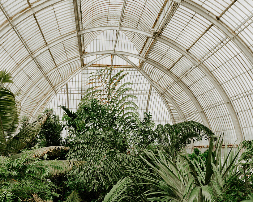 architecture for extinction: where does nature go when its habitat disappears? - 1