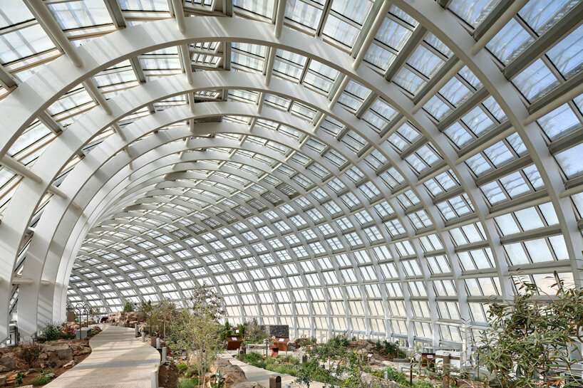 architecture for extinction: where does nature go when its habitat disappears? - 3