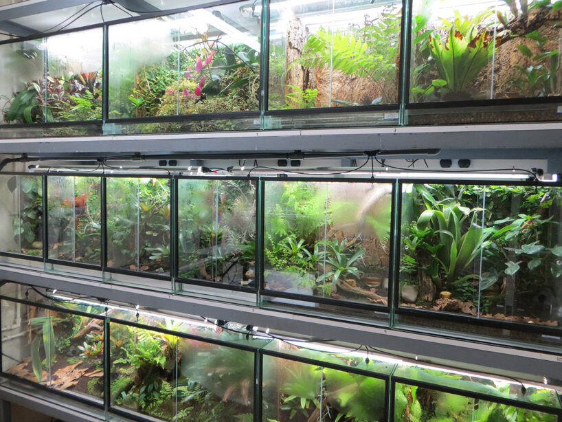 architecture for extinction: where does nature go when its habitat disappears? - 4