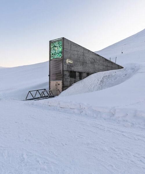 architecture for extinction: where does nature go when its habitat disappears?