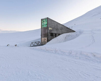 architecture for extinction: where does nature go when its habitat disappears?