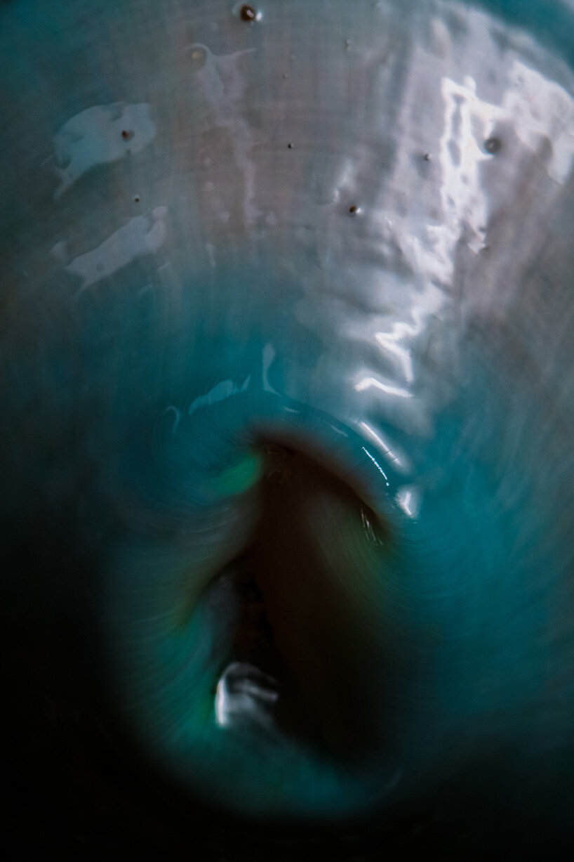 interview: aron sanchez-baranda finds otherworldly forms in marine life - 9