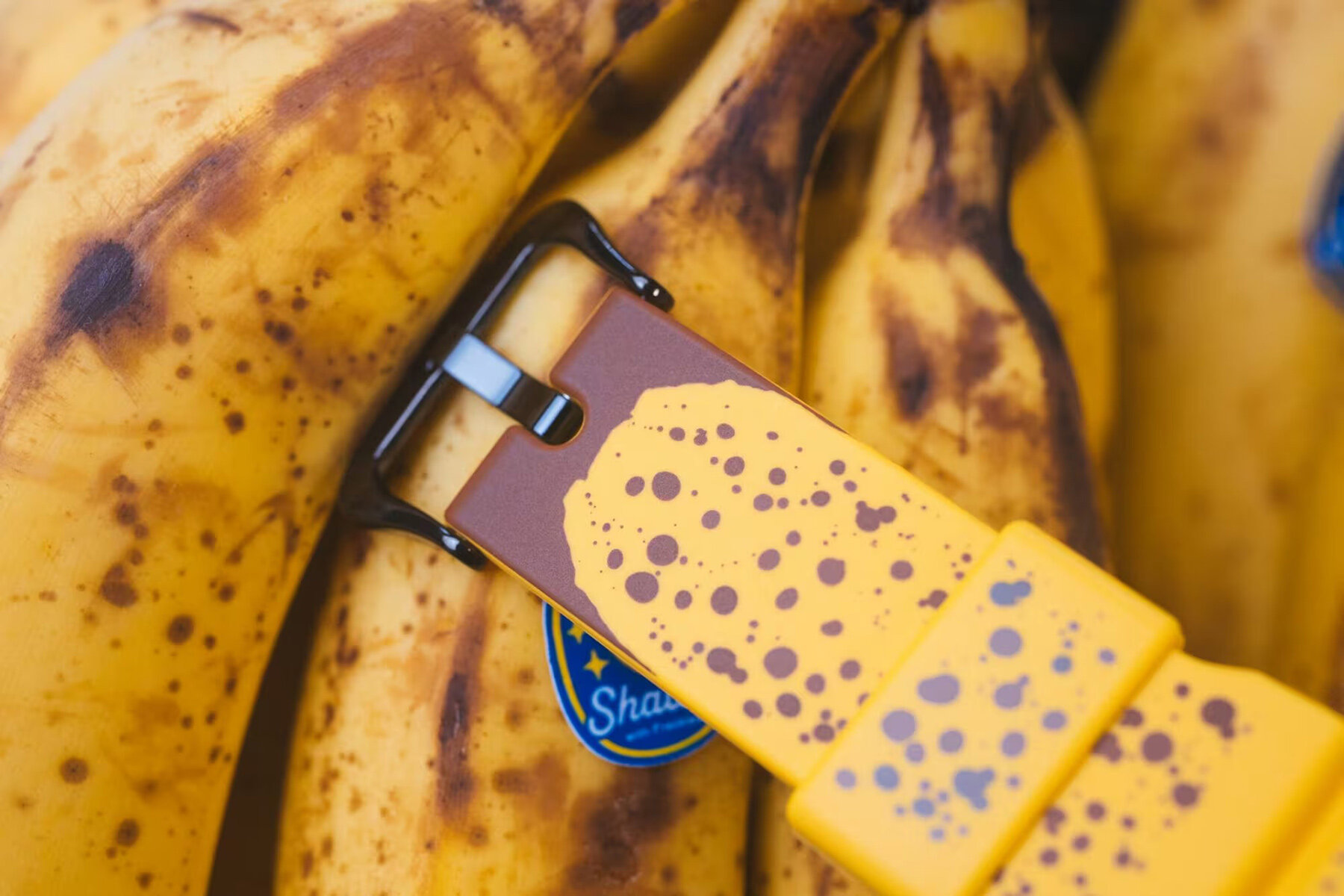 bait-g-shock-dw5600-yamagatas-finest-banana-watch-designboom-06a