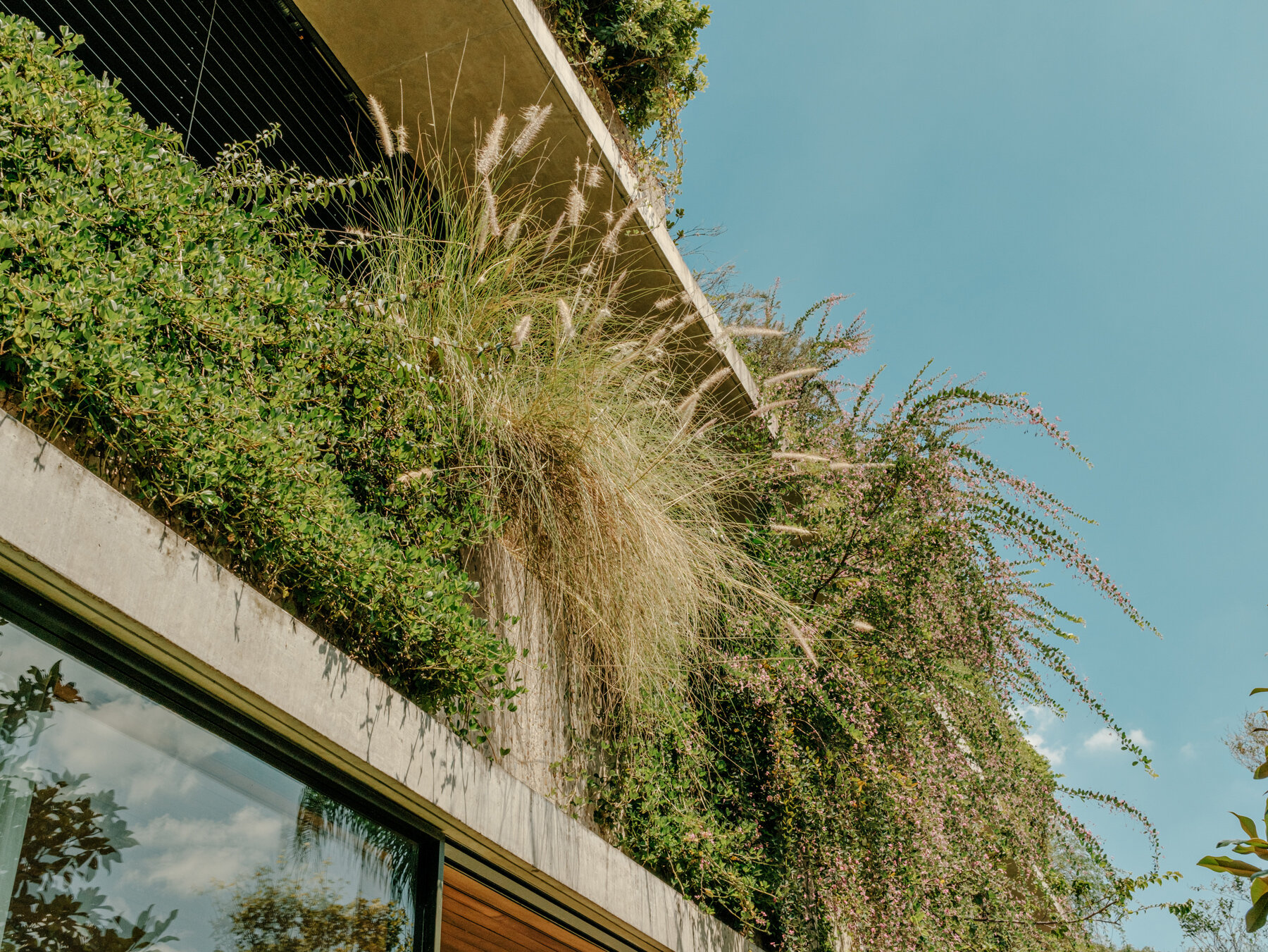 continuous-vertical-gardens-layered-planters-111-house-sao-paulo-isay-weinfeld-rodrigo-oliveira-designboom-1800-2
