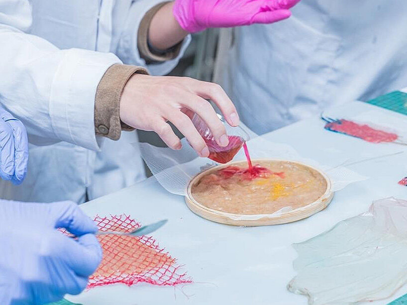 emma sicher grows biomaterials from wild berries and microorganisms - 1