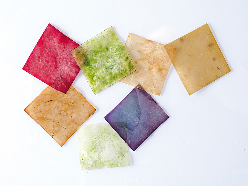 emma sicher grows biomaterials from wild berries and microorganisms - 2