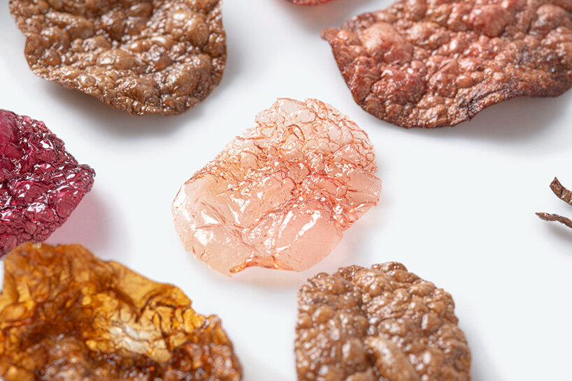 emma sicher grows biomaterials from wild berries and microorganisms - 3