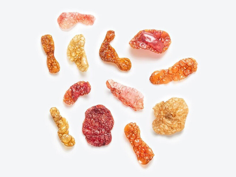 emma sicher grows biomaterials from wild berries and microorganisms - 5