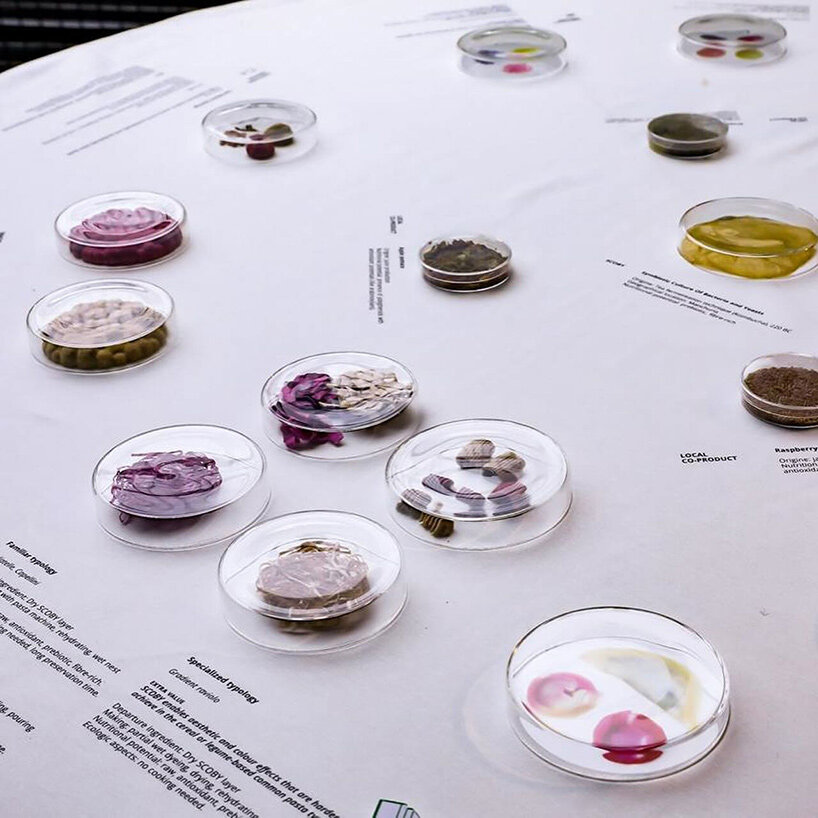emma sicher grows biomaterials from wild berries and microorganisms - 6