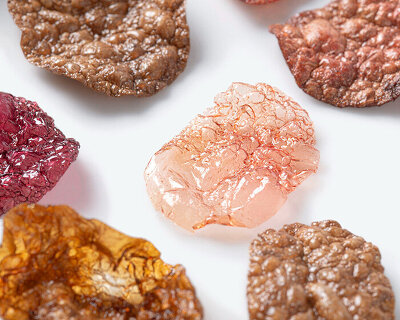 emma sicher grows biomaterials from wild berries and microorganisms