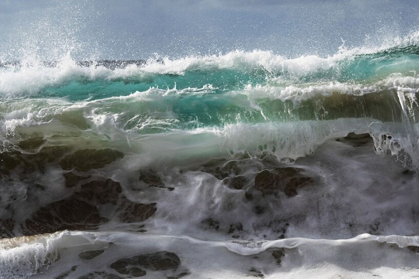 ‘we are all marine animals, we just forgot’: photographer enzo barracco at the ocean&climate village - 4