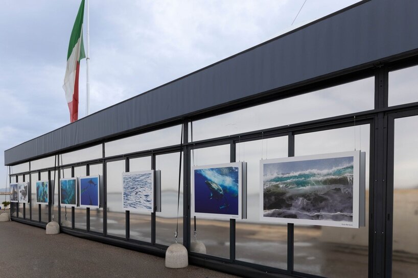 ‘we are all marine animals, we just forgot’: photographer enzo barracco at the ocean&climate village - 1