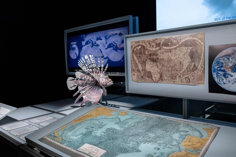 ‘we are all marine animals, we just forgot’: photographer enzo barracco at the ocean&climate village - 8