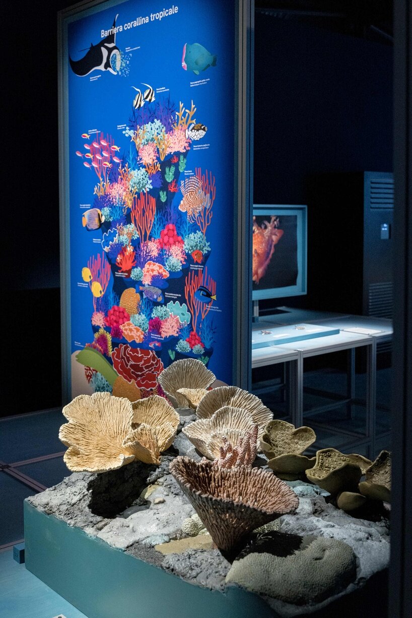 ‘we are all marine animals, we just forgot’: photographer enzo barracco at the ocean&climate village - 10