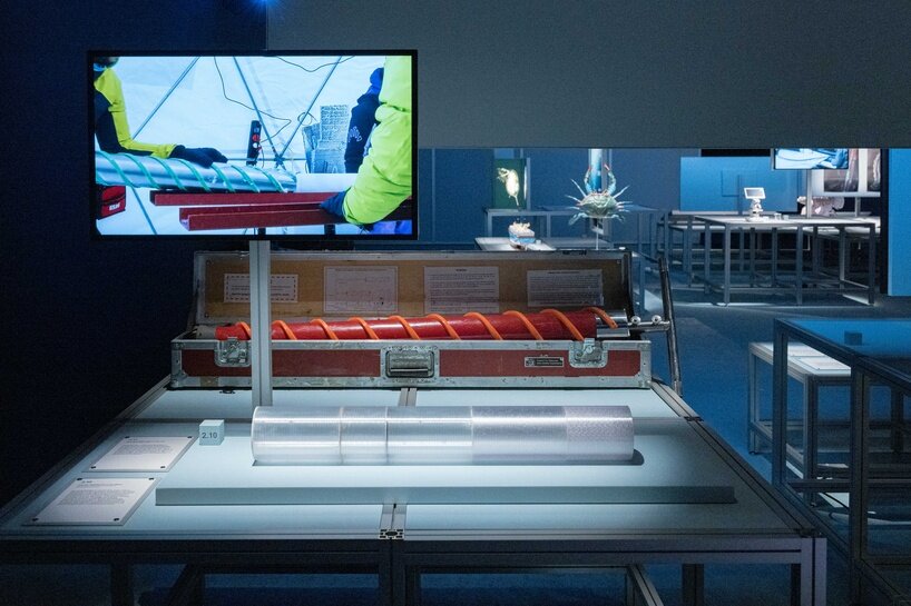 ‘we are all marine animals, we just forgot’: photographer enzo barracco at the ocean&climate village - 11