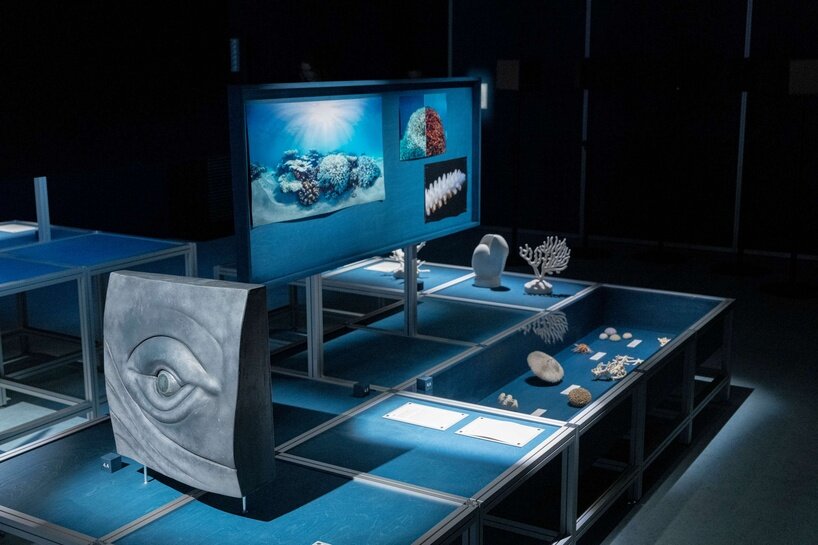 ‘we are all marine animals, we just forgot’: photographer enzo barracco at the ocean&climate village - 12