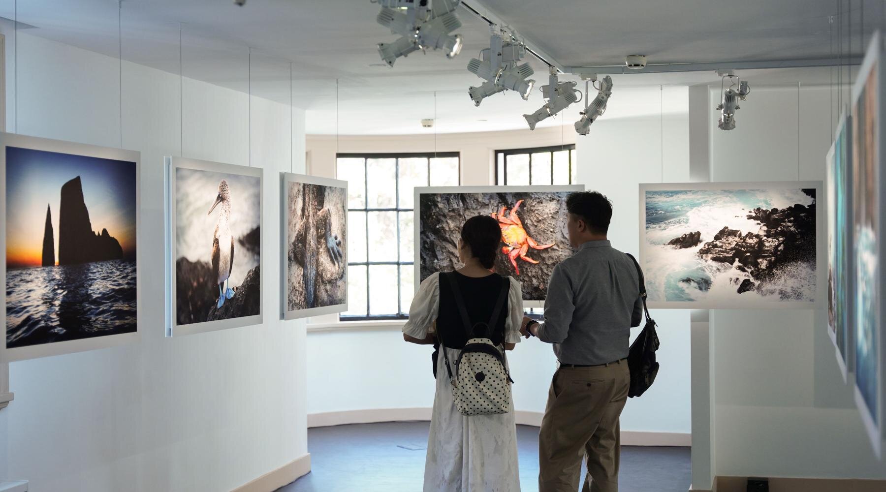 enzo-barracco-sea-beyond-designboom-fullWidth-01