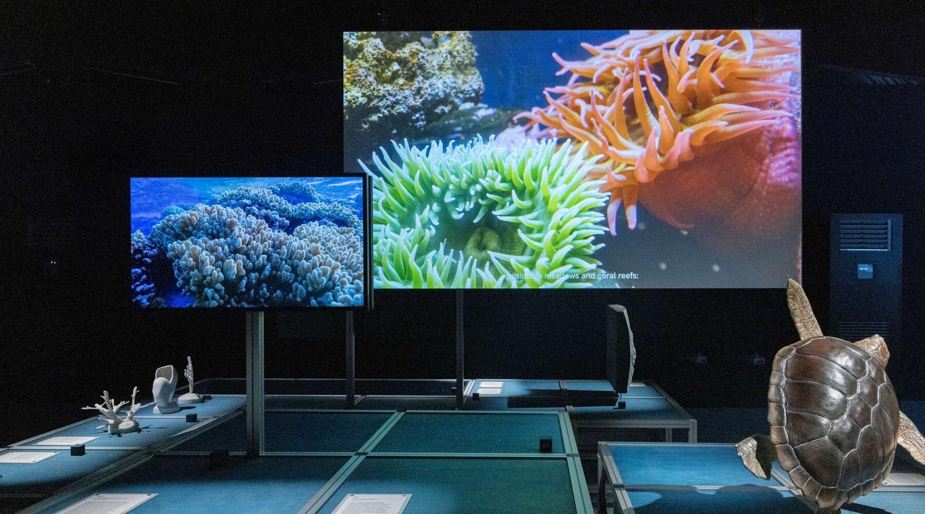 enzo-barracco-sea-beyond-designboom-fullWidth-02