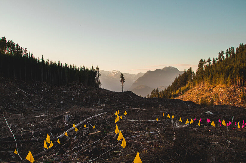 flash forest drones