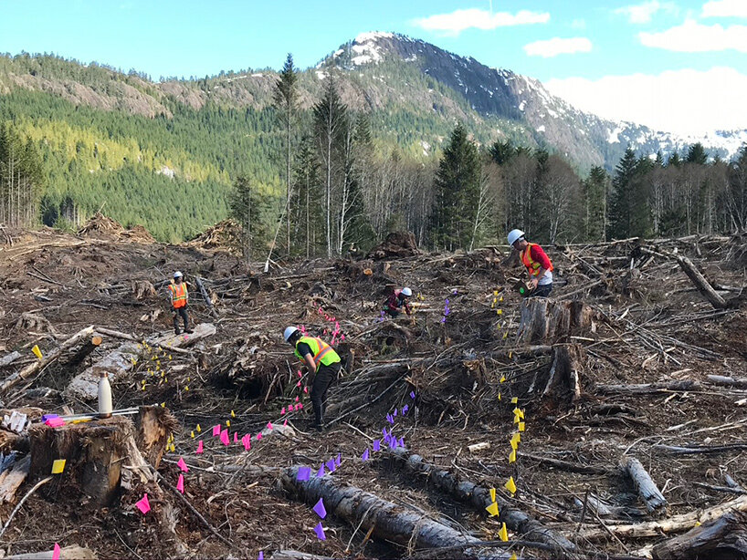 flash forest drones