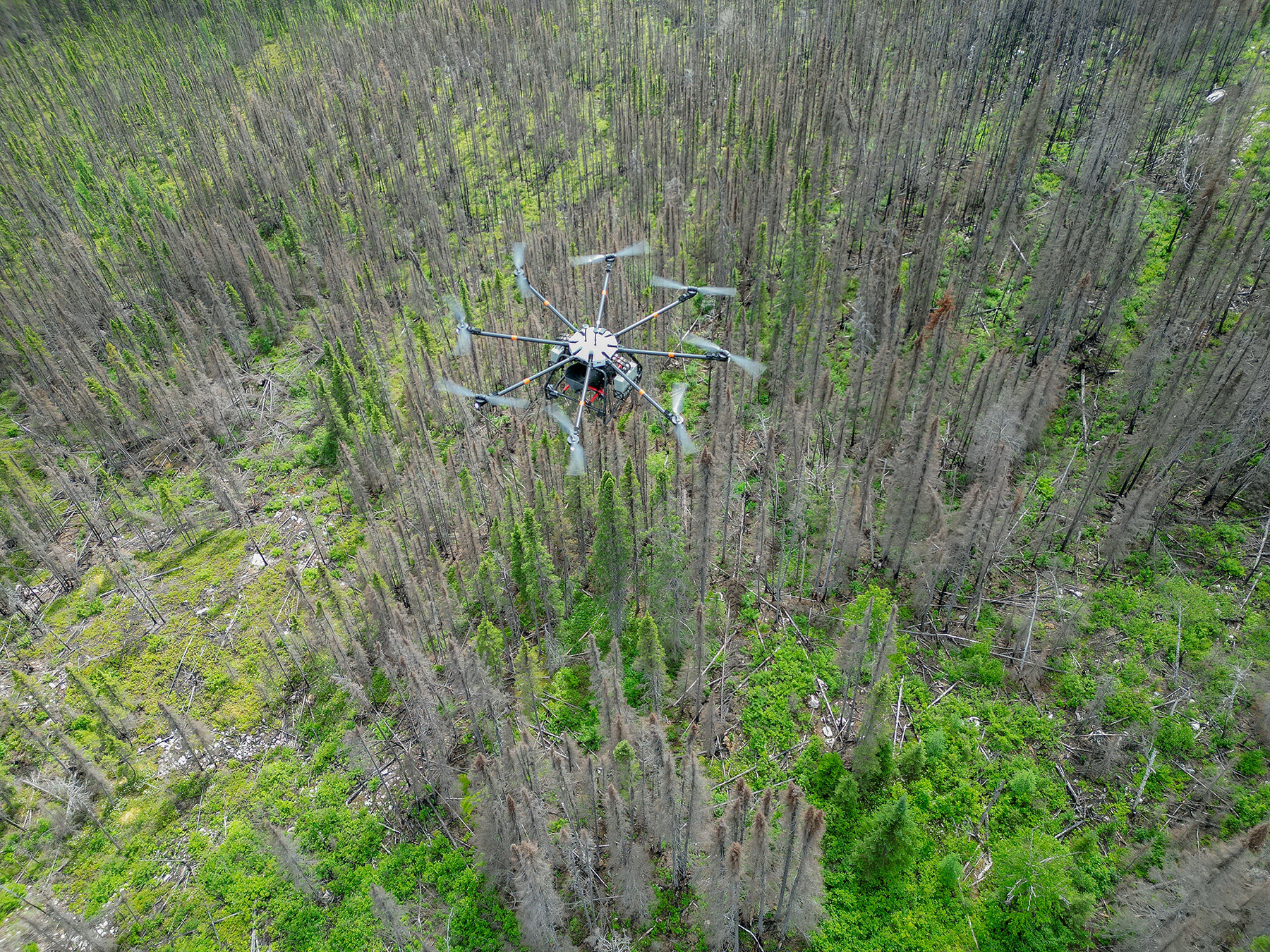 flash-forest-regeneration-wildfires-drones-seed-designboom-06a