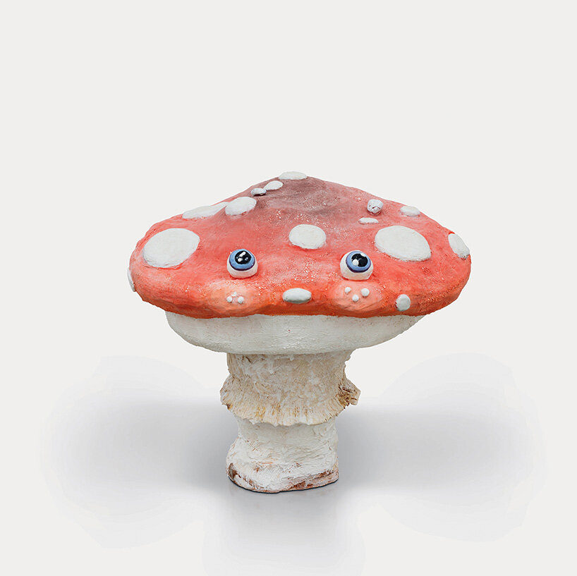 ‘fungi are still going to be here’: how mushrooms inspire new ways of thinking about nature - 6