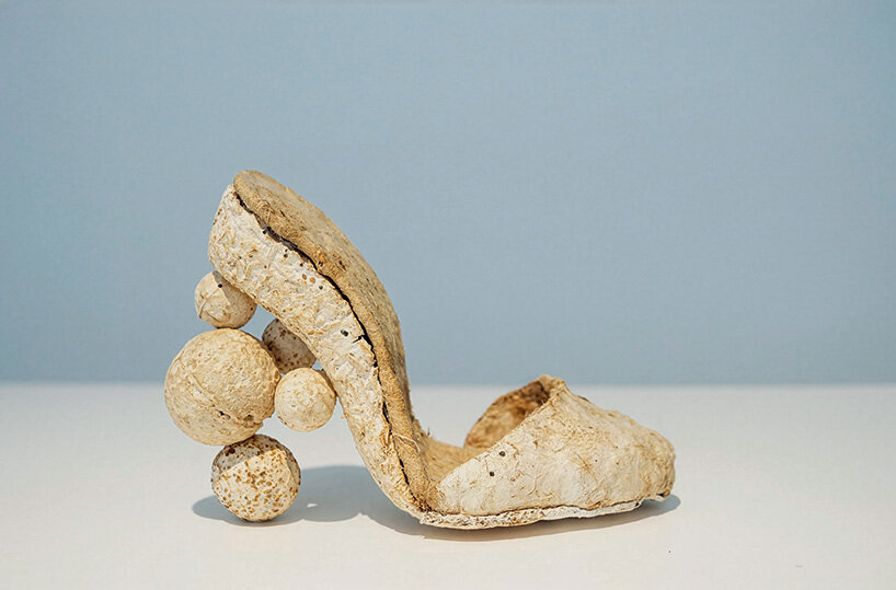 ‘fungi are still going to be here’: how mushrooms inspire new ways of thinking about nature - 1