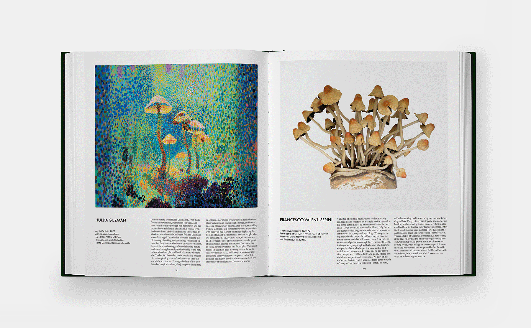 fungi-mushrooms-new-ways-thinking-nature-book-phaidon-francesca-gavin-interview-designboom-large01