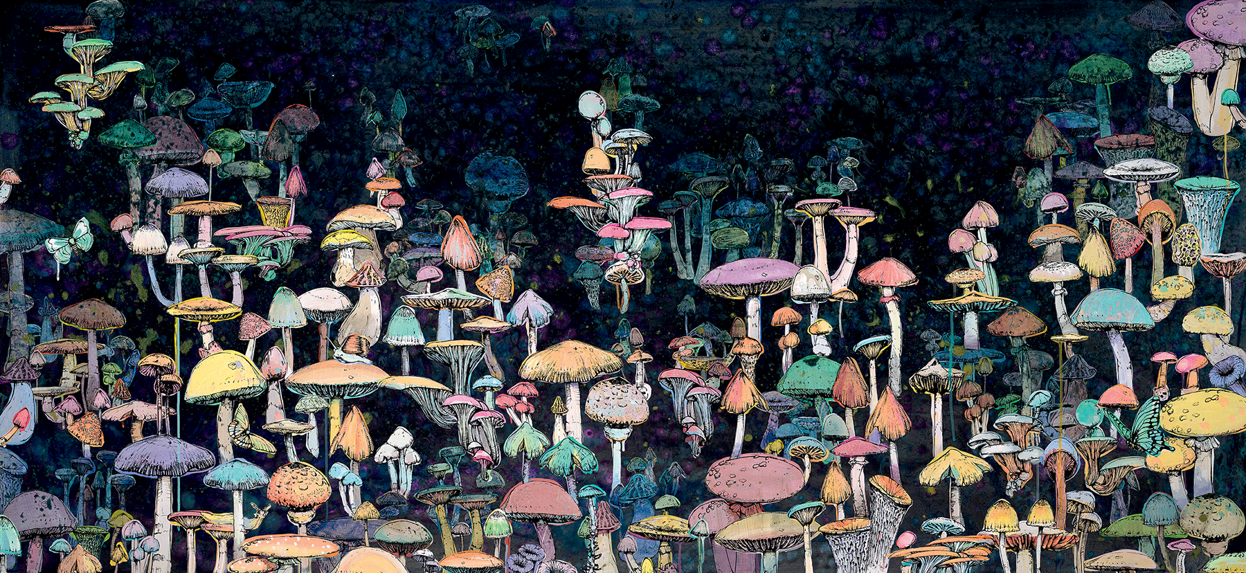 fungi-mushrooms-new-ways-thinking-nature-book-phaidon-francesca-gavin-interview-designboom-large03