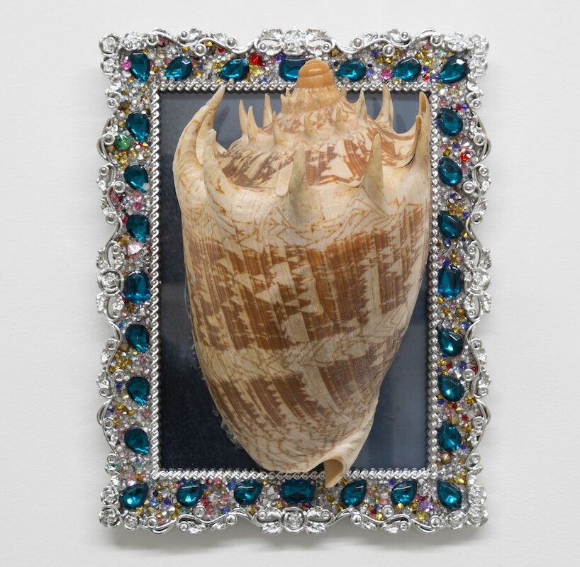 hélène fauquet overlays photographs with salvaged shells in ensemble of rococo-like curiosities - 4